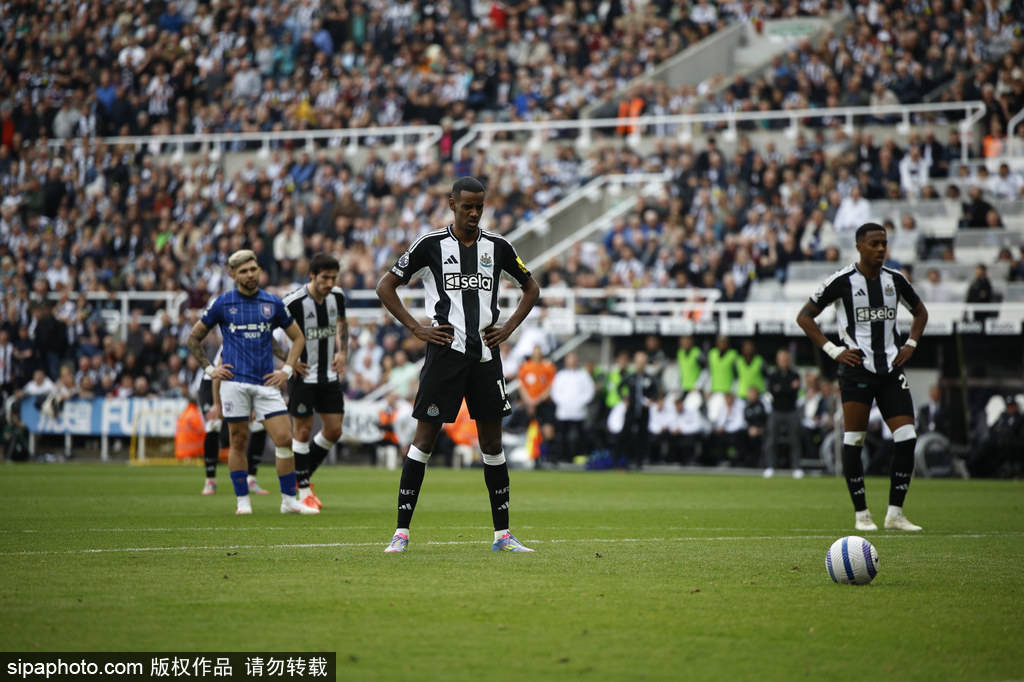 参与为20 参与为20