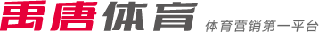 执行战术